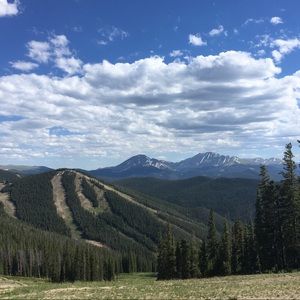 Meet your Posher, Ellie